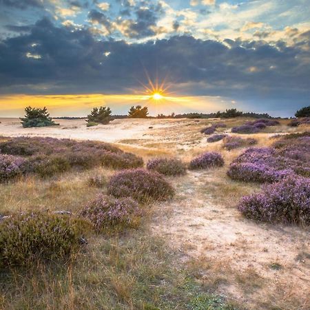 Vila Duindoorn 46 IJmuiden Exteriér fotografie