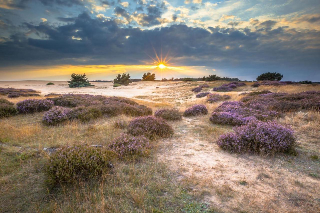 Vila Duindoorn 46 IJmuiden Exteriér fotografie